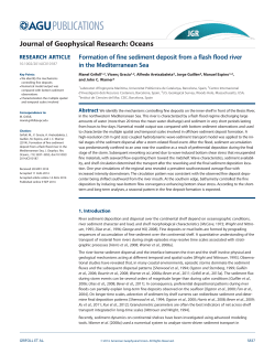 Formation of fine sediment deposit from a flash flood river in the