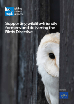 Supporting wildlife-friendly farmers and delivering the Birds