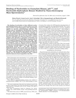 Binding of Nucleotides to Guanylate Kinase, p21ras, and