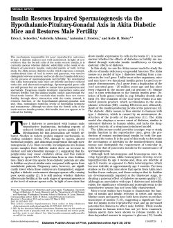 Insulin Rescues Impaired Spermatogenesis via the