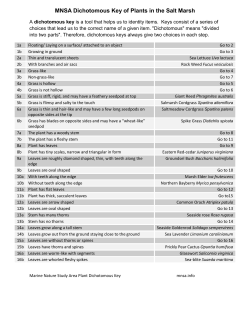 Saltmarsh Plant Dichotomous Key