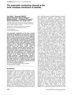 The preprotein conducting channel at the inner envelope membrane