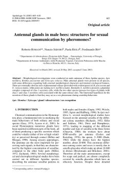 Antennal glands in male bees: structures for sexual communication
