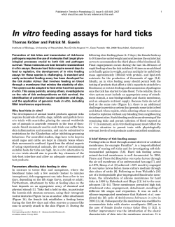 In vitro feeding assays for hard ticks