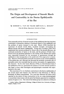 The Origin and Development of Smooth Muscle and Contractility in