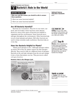 2 Bacteria`s Role in the World