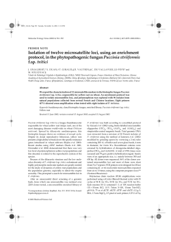 Isolation of twelve microsatellite loci, using an enrichment protocol