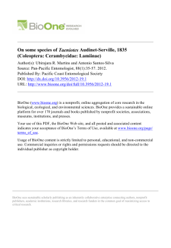 On some species of Taeniotes Audinet-Serville, 1835 - prionia