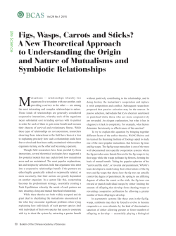 Figs, Wasps, Carrots and Sticks? A New Theoretical Approach to