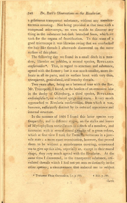 248 Dr. Roth`s Observations on the Rivulante a gelatinous