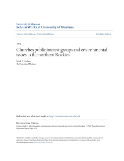 Churches public interest groups and environmental issues in the