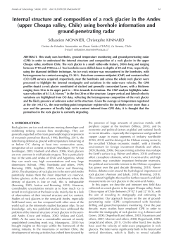 Internal structure and composition of a rock glacier in the Andes
