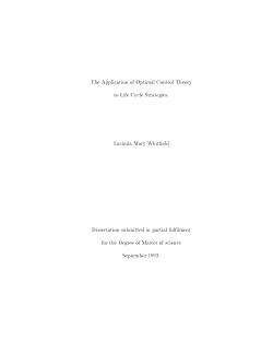 The Application of Optimal Control Theory to Life Cycle Strategies
