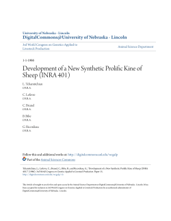 Development of a New Synthetic Prolific Kine of Sheep (INRA 401)