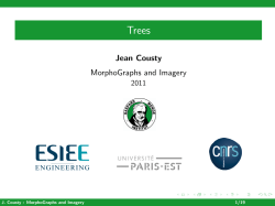 MorphoGraphs and Imagery