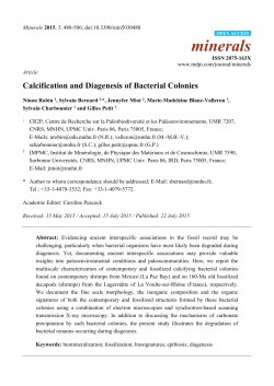 Calcification and Diagenesis of Bacterial Colonies
