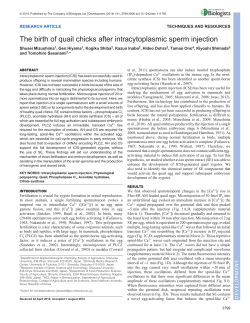 The birth of quail chicks after intracytoplasmic sperm