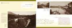In his Central American photographs, Muybridge presents complex