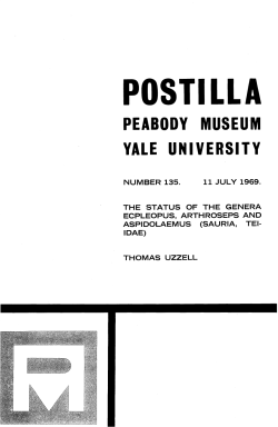 Yale Peabody Museum Postilla - Yale Peabody Museum of Natural