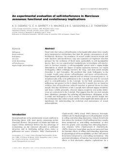 An experimental evaluation of self‐interference in Narcissus