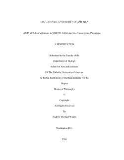 KRAS 4B Silent Mutations in NIH/3T3 Cells