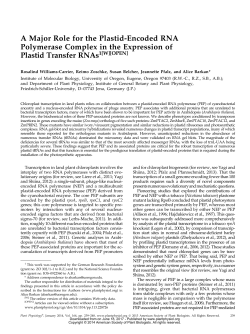 A Major Role for the Plastid-Encoded RNA