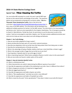 Special Topic - Those Amazing Sea Turtles - Florida 4-H