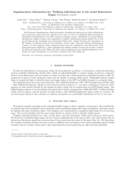 Supplementary Information for &ldquo;Defining individual size in the model