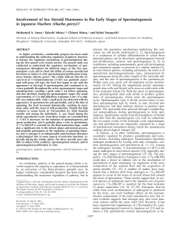 Involvement of Sex Steroid Hormones in the Early Stages of