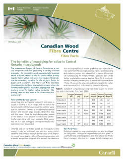 The benefits of managing for value in Central Ontario mixedwoods