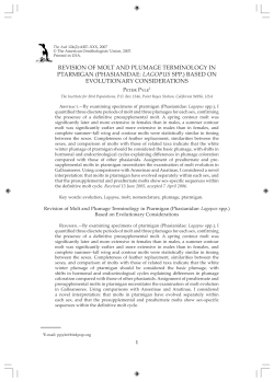 revision of molt and plumage terminology