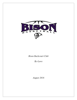 Bison Backcourt Club By