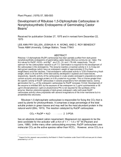 Development of Ribulose 1,5Diphosphate Carboxylase in