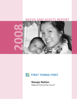 Navajo_Nation_Need_and_Assets_Report_2008