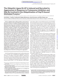 The Ubiquitin Ligase E6-AP Is Induced and Recruited to
