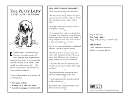 The Puppy Lady