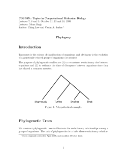 Introduction Phylogenetic Trees