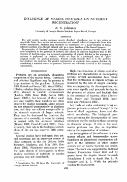 INFLUENCE OF MARINE PROTOZOA ON NUTRIENT