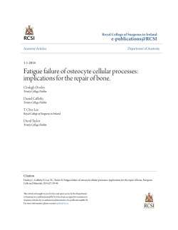 Fatigue failure of osteocyte cellular processes - e