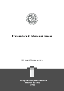 Cyanobacteria in lichens and mosses