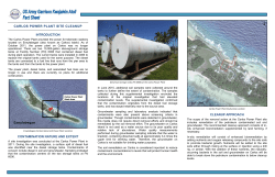 CARLOS POWER PLANT SITE CLEANUP INTRODUCTION