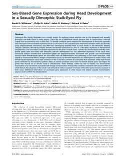 Sex-Biased Gene Expression during Head Development in a