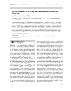 Fern phylogeny inferred from 400 leptosporangiate species and