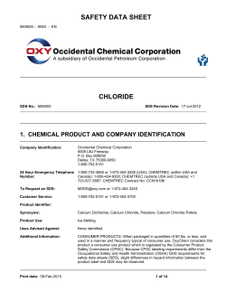 PELADOW Premier Snow and Ice Melter with Calcium Chloride