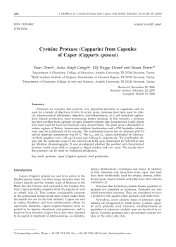 Cysteine Protease (Capparin) from Capsules of Caper (Capparis