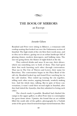 THE BOOK OF MIRRORS