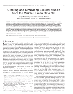 Creating and Simulating Skeletal Muscle from the Visible Human