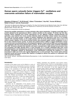 Human sperm cytosolic factor triggers Ca2+