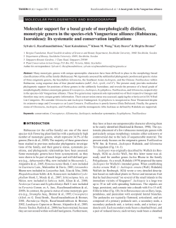 Molecular support for a basal grade of morphologically distinct
