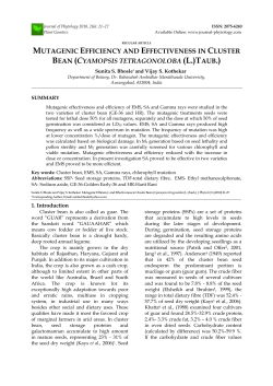 MUTAGENIC EFFICIENCY AND EFFECTIVENESS IN CLUSTER